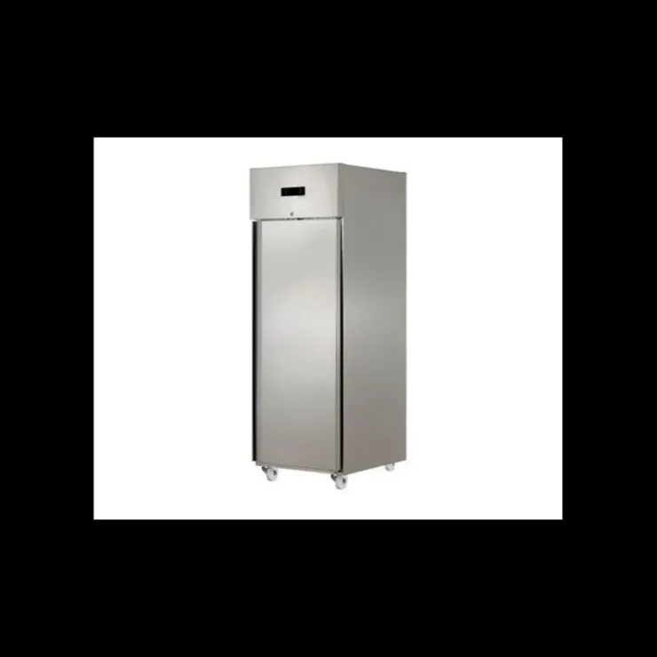 TECHNOFROID Armoire Réfrigérée Positive 610 L 1 Porte GN2/1 Discount