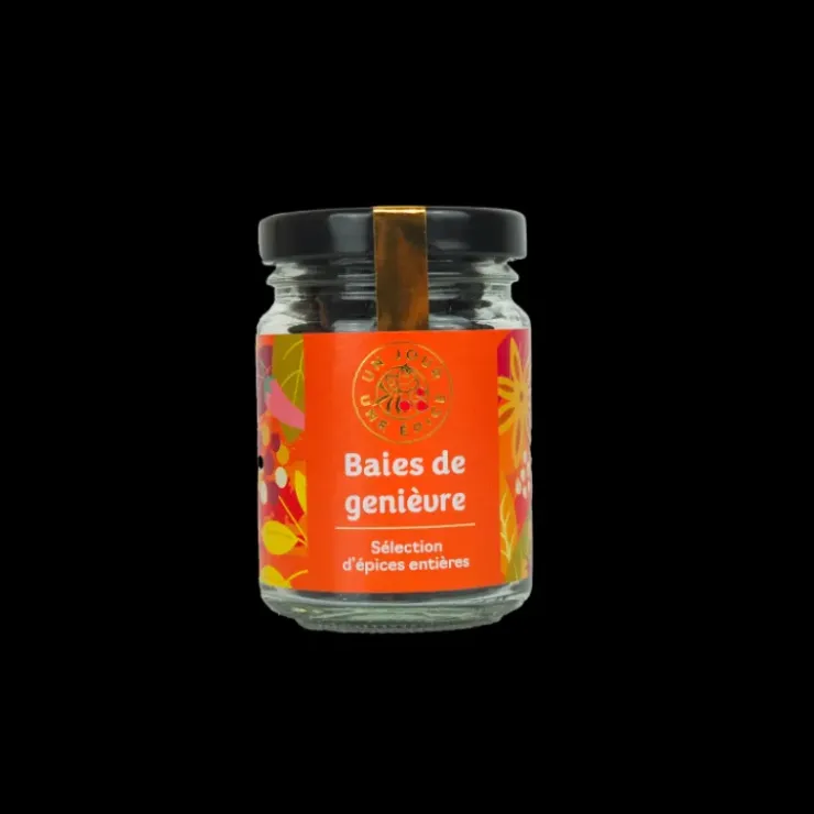 UN JOUR UNE EPICE Baie de Genièvre 28 g Hot