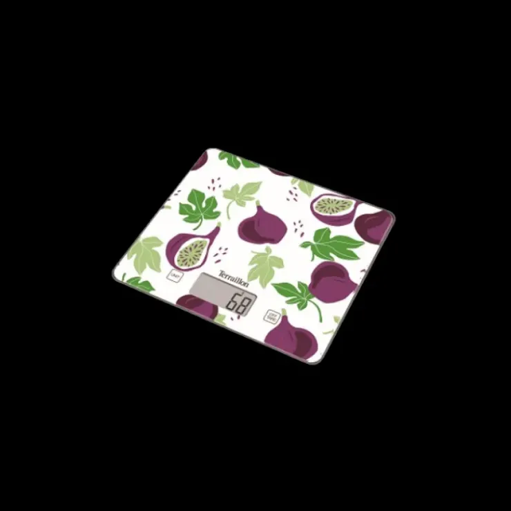 TERRAILLON Balance de Cuisine Figue Hot