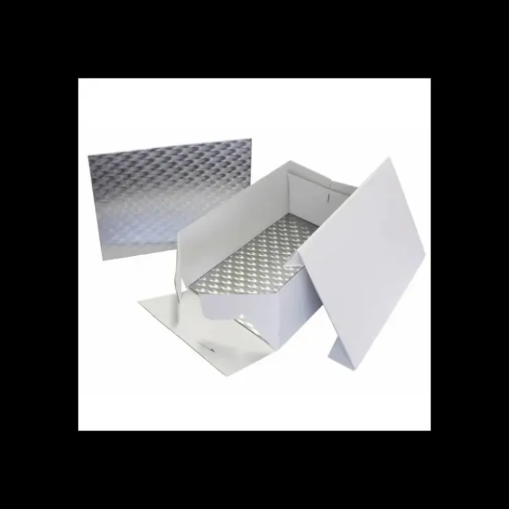 PME Boîte Pâtissière avec Support à Gâteau Rectangulaire 38 x 27,8 cm Hot
