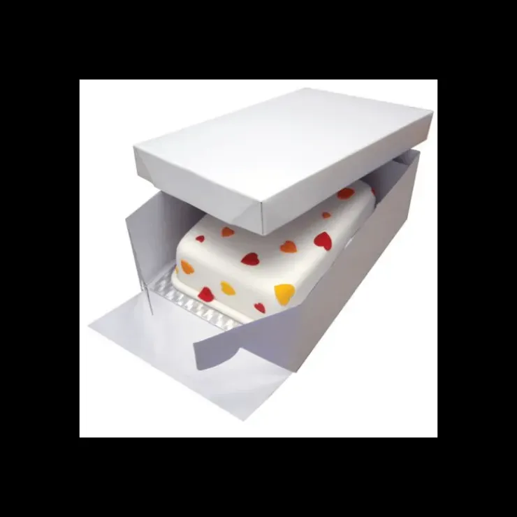PME Boîte Pâtissière avec Support à Gâteau Rectangulaire 38 x 27,8 cm Hot