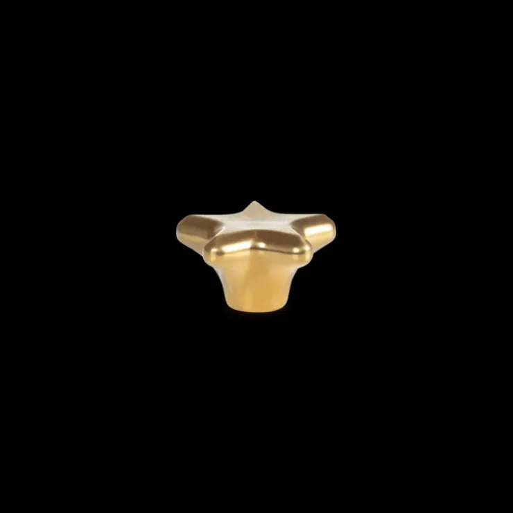 LE CREUSET Bouton Etoile Doré Ø 5,7 cm Signature Outlet