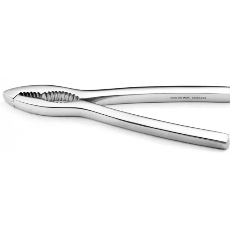 DEGLON Casse Noix Pince à crustacés Inox 16 cm Déglon Sale