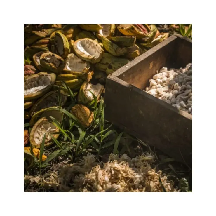 VALRHONA Chocolat de Couverture Noir Manjari 64% 250g Clearance