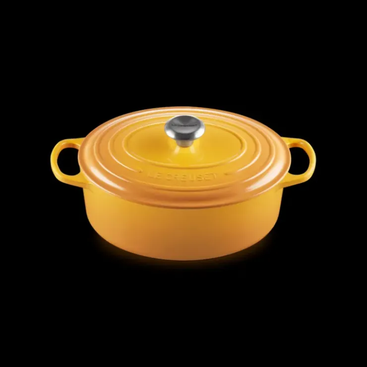 LE CREUSET Cocotte en fonte Ovale 31 cm Nectar Signature Best