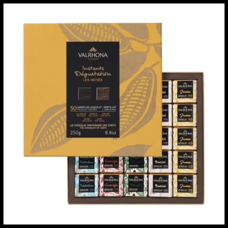 VALRHONA Coffret 50 Carrés de Chocolats Noir et Lait Les Initiés 250 g Discount