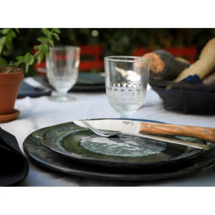 OPINEL Coffret 4 Couteaux de Table Olivier Facette