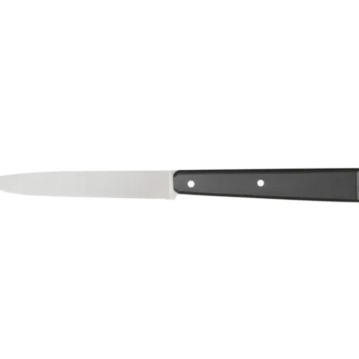 OPINEL Coffret 4 Couteaux de Table N°125 Pro Bon Appétit + Online