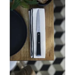 OPINEL Coffret 4 Couteaux de Table N°125 Pro Bon Appétit + Online