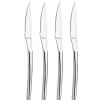 AMEFA Coffret 4 Couteaux Steak Aurora 22,7 cm Premiere Hot