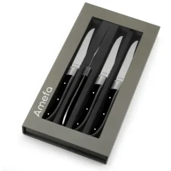 AMEFA Coffret 4 Couteaux Steak Royal Steak Noir 22,5 cm Best