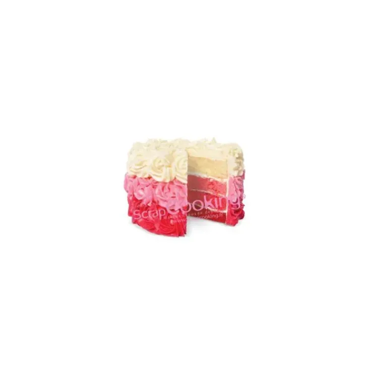 SCRAPCOOKING Colorant Alimentaire en Poudre Rouge 5g Best