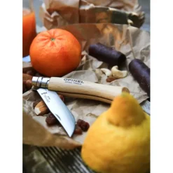 OPINEL Couteau de Poche N°10 en Inox Clearance