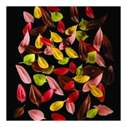 PAVONI Couteau Inox Plume 12 x 2,4 cm Flychoc Outlet