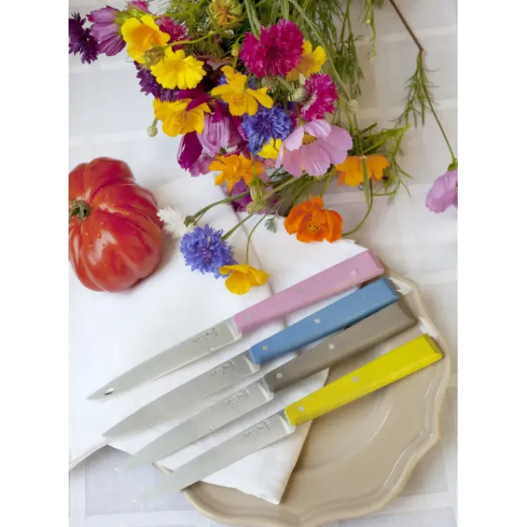 OPINEL Couteaux de Table (x4) Campagne Bon Appétit ! Clearance