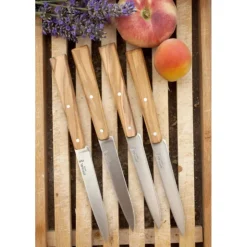 OPINEL Couteaux de Table (x4) Sud Bon Appétit !