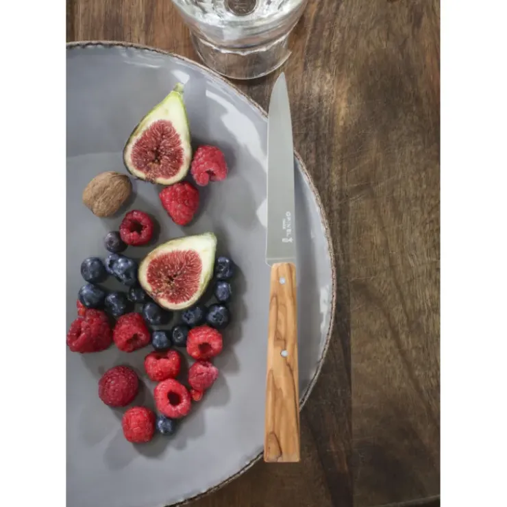 OPINEL Couteaux de Table (x4) Sud Bon Appétit !