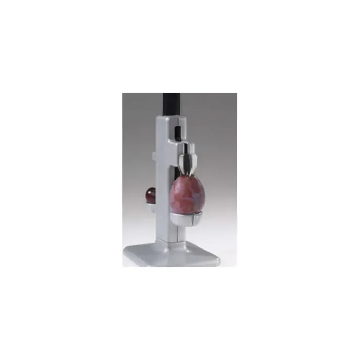 WESTMARCK Dénoyauteur à prune et à cerise Hot