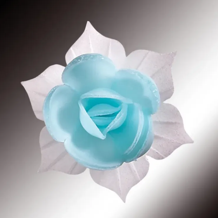 FLORENSUC Fleurs de Jonquille bleue x5 - en Azyme Discount