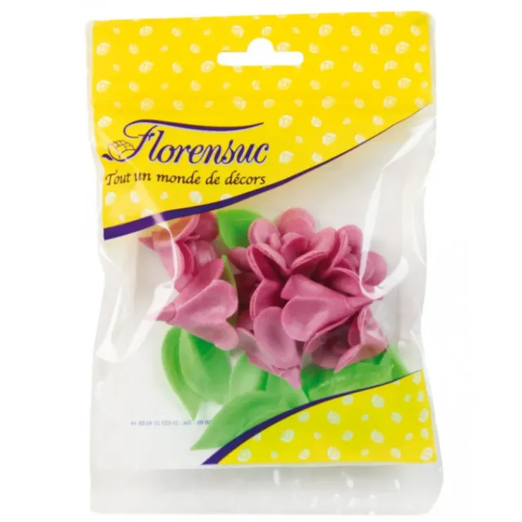 FLORENSUC Fleurs de Violette x7 - en Azyme Discount