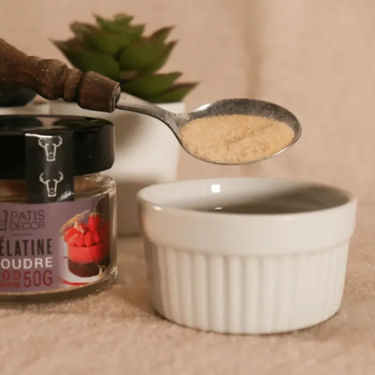 PATISDECOR Gélatine Bovine en Poudre 200 Blooms 50 g Patisdécor Best