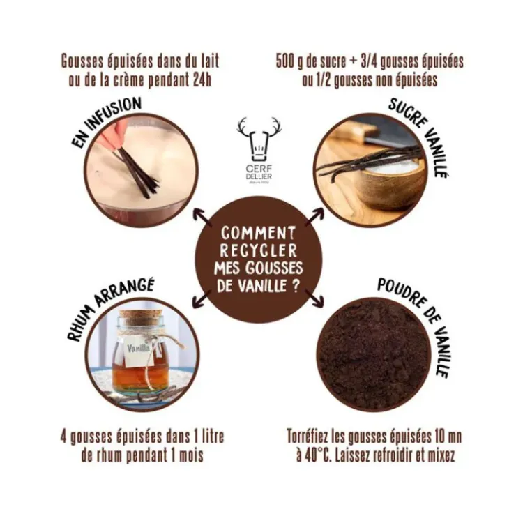 PATISDECOR Gousse de Vanille de Nouvelle Calédonie Patisdécor (x2) New