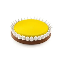 SILIKOMART Kit Moule Silicone 1 Tarte Ø 230mm Professional Outlet