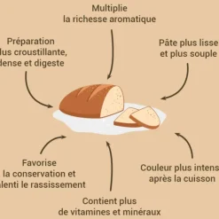 PATISDECOR Levain blé dur pour pain et levure 150 g Patisdécor Online