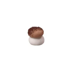 FLORENSUC Mini Champignon en Sucre Beige 12 x 10 mm (x384) Discount