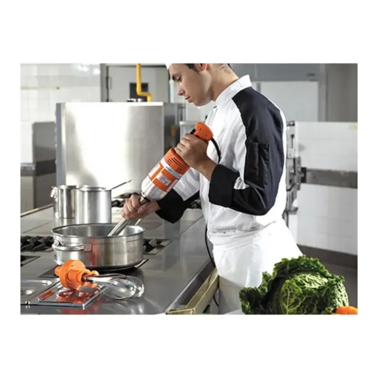 DYNAMIC Mixeur Plongeant + Batteur Senior Combi 300 Best