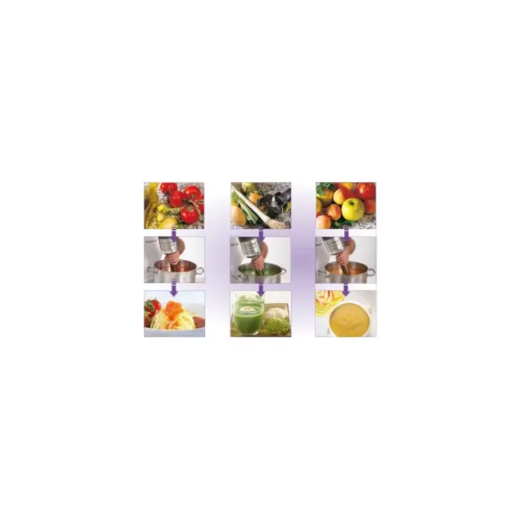 ROBOT-COUPE Mixeur Plongeant MP 350 V.V Ultra Robot Coupe Online