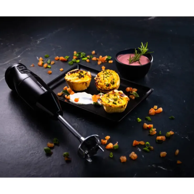 BAMIX Mixeur Plongeant Sans Fil Cordless Noir Online