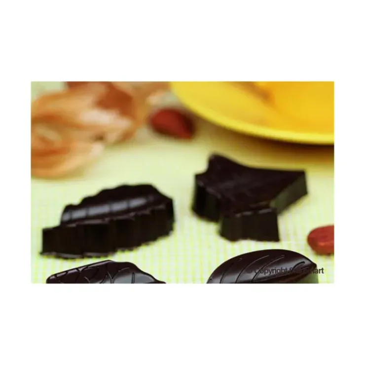 EASY CHOC Moule à Chocolat 8 Feuilles - Silicone Spécial Chocolat Discount