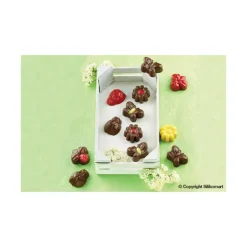 EASY CHOC Moule à Chocolat 15 Sujets Spring Life - Silicone Spécial Chocolat New