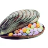 MALLARD FERRIERE Moule à Chocolat Coquillage 14,6 cm Clearance