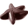 CHOCOLATE WORLD Moule à Chocolat Etoile de Mer (x2) Discount