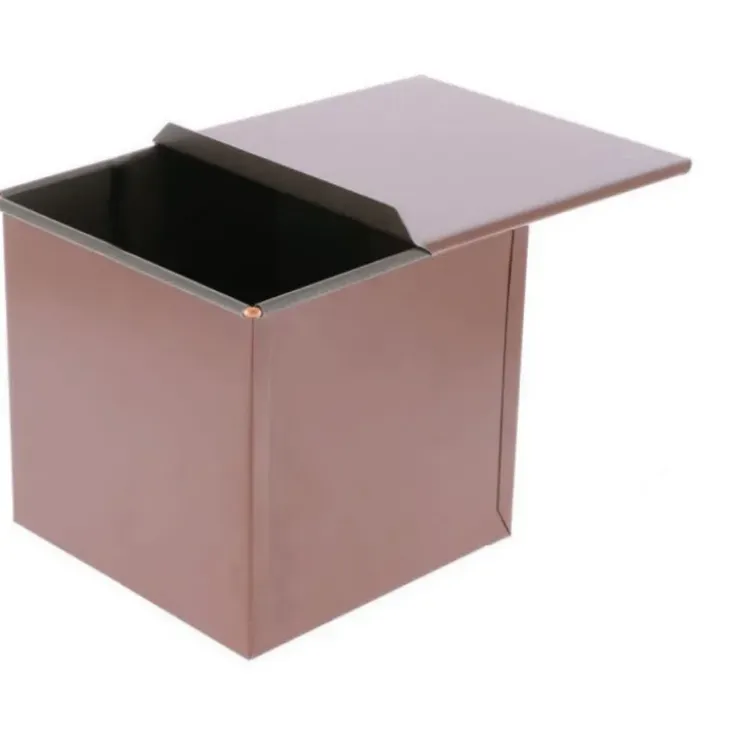 MALLARD FERRIERE Moule à Pain Surprise Carré 16x16 cm avec Couvercle New