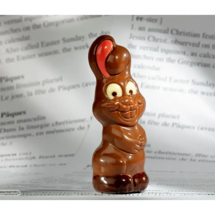 CHOCOLATE WORLD Moule Chocolat Aimanté Lapin de Pâques 15 cm Online