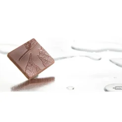 CHOCOLATE WORLD Moule Chocolat Carré avec Feuille (x10) New