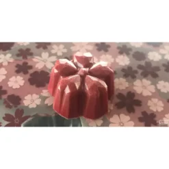 CHOCOLATE WORLD Moule Chocolat Fleur de Cerisier Sakura Kohei Ogata (x21) Hot