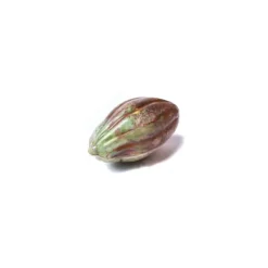 CHOCOLATE WORLD Moule Chocolat Fève Cacao (x16) Discount
