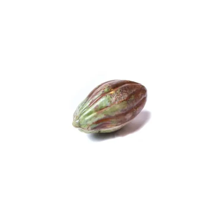 CHOCOLATE WORLD Moule Chocolat Fève Cacao (x16) Discount