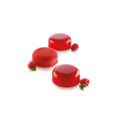 SILIKOMART Moule Silicone 6 Minis Moules à Manqué Ø67 x h27 mm 90ml Professional