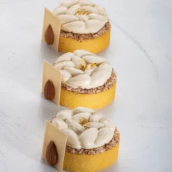 PAVONI Moule Silicone Décor Mini Amandes Ø 6 cm x H 1,4 cm (x8) Clearance