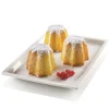 SILIKOMART Moule Silicone Mini Pandoro Professional Online