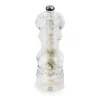 PEUGEOT Moulin à Sel Humide Nancy 18 cm Transparent Best