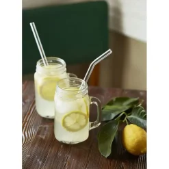 CUISINEADDICT Paille Réutilisable en Verre 23cm courbée x6 HALM