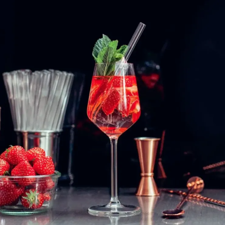 CUISINEADDICT Paille Réutilisable en Verre 20cm droite x4 HALM Clearance