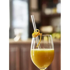 CUISINEADDICT Paille Réutilisable en Verre 20cm droite x6 HALM New