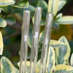 CUISINEADDICT Paille Réutilisable en Verre Noël 20cm droite x6 HALM Discount